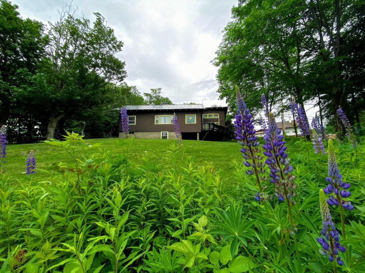 Cannon Four Bed Three Bath Slopeside Home Steps To Mittersill And Slopes Franconia Dış mekan fotoğraf